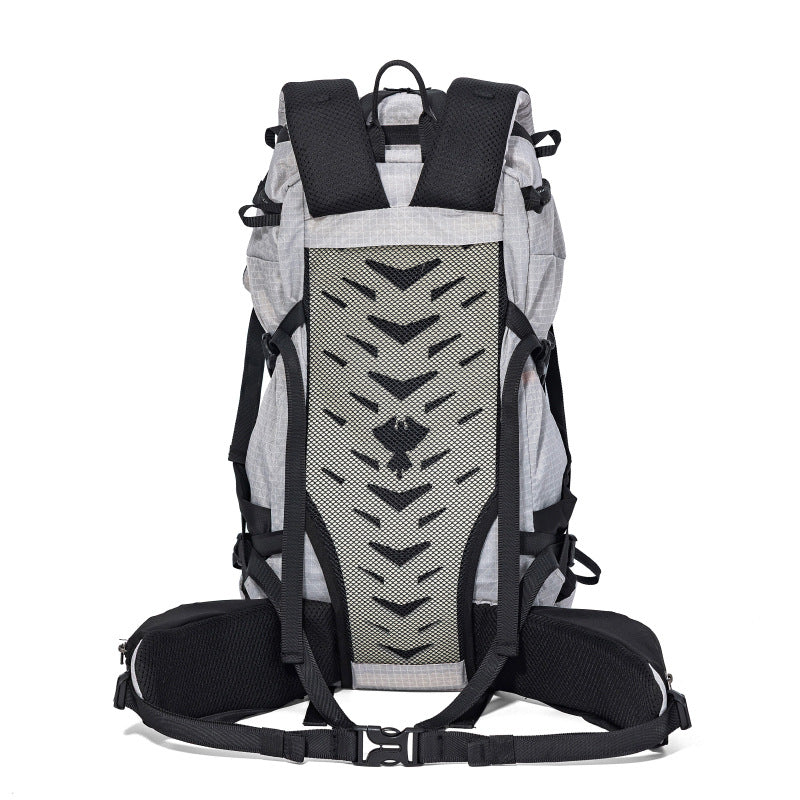 Large-capacity Lightweight Multi-functional